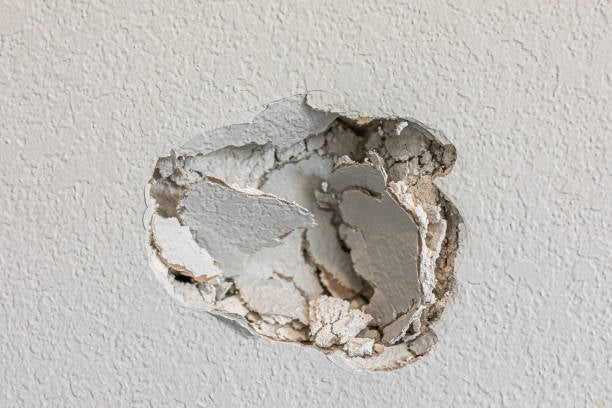 Dry wall repair and install